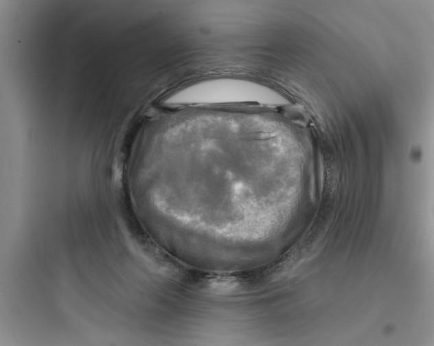 X0000097610214200803211730