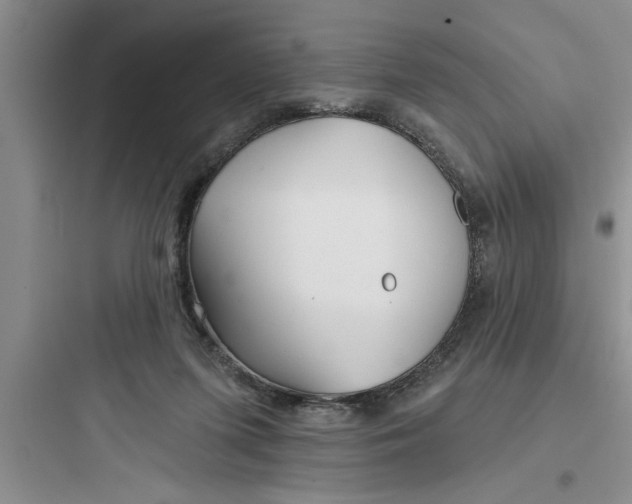 X0000097610215200803211730