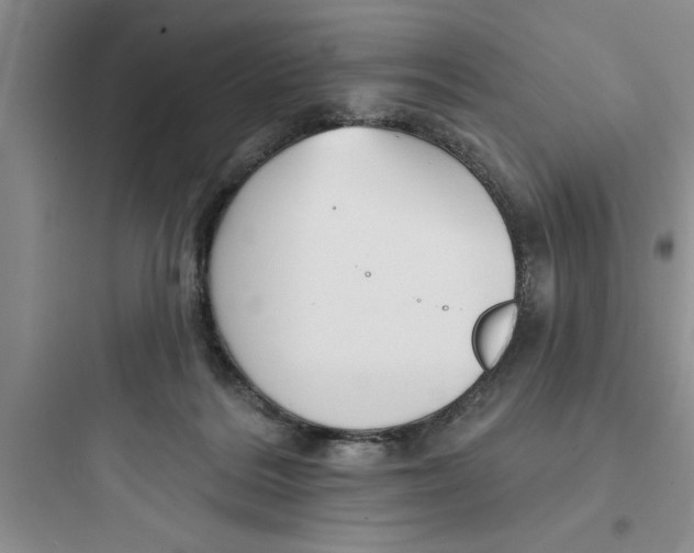 X0000097610220200803211730