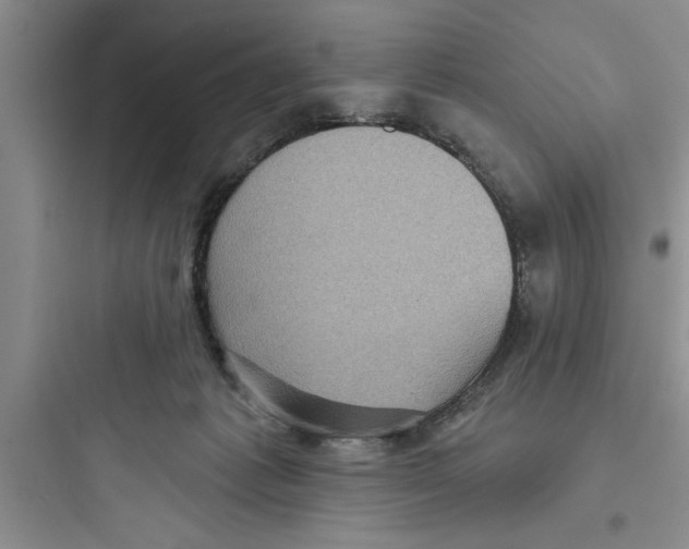 X0000097610221200803211730