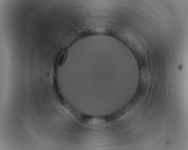 X0000097610223200803211730