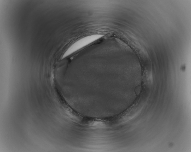 X0000097610224200803211730