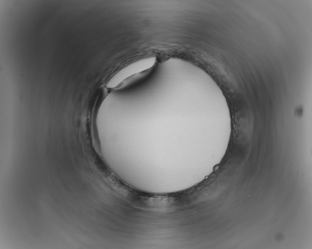 X0000097610225200803211730