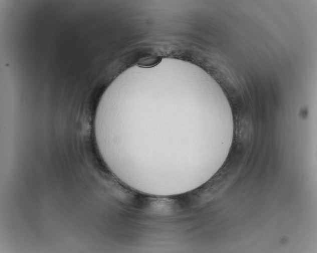 X0000097610226200803211730