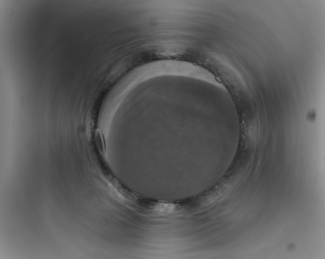 X0000097610227200803211730