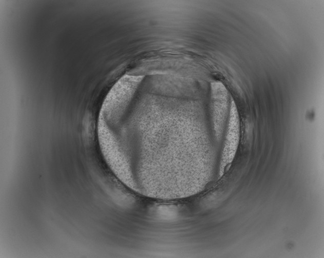 X0000097610228200803211730