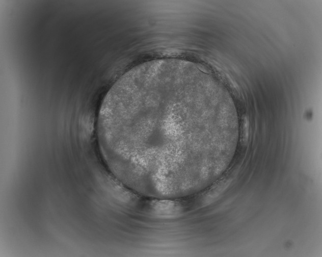 X0000097610230200803211730