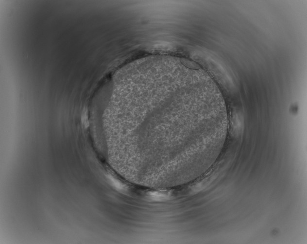 X0000097610232200803211730