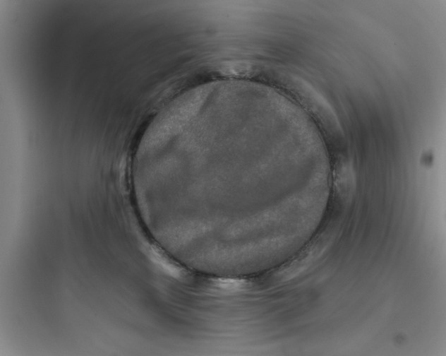 X0000097610233200803211730