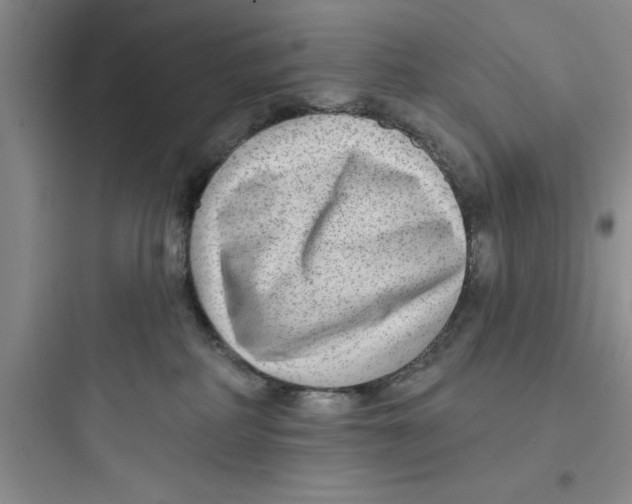 X0000097610234200803211730