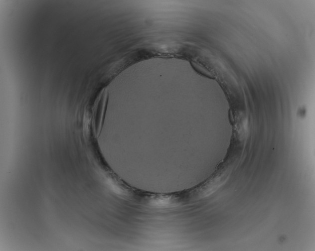 X0000097610235200803211730