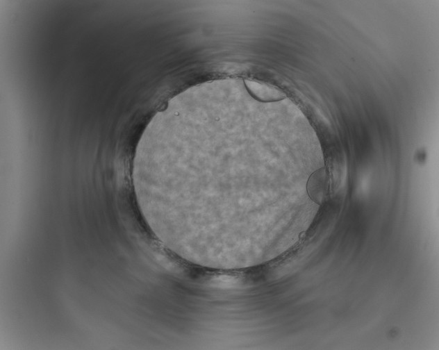 X0000097610236200803211730