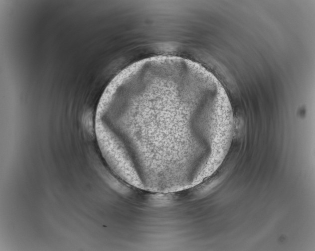 X0000097610238200803211730