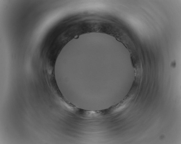 X0000097610239200803211729