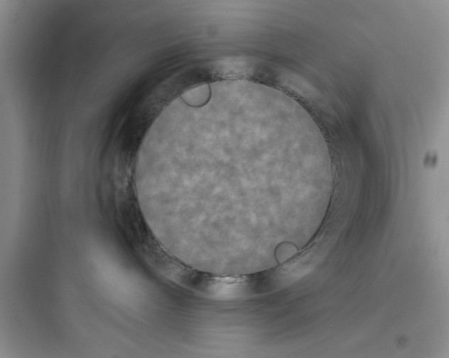 X0000097610240200803211729