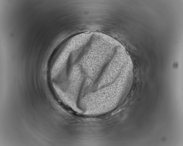 X0000097610242200803211729