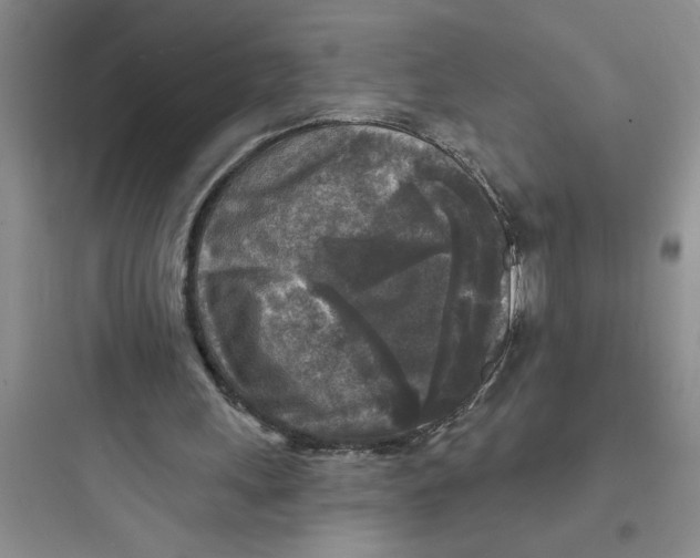 X0000097610243200803211729