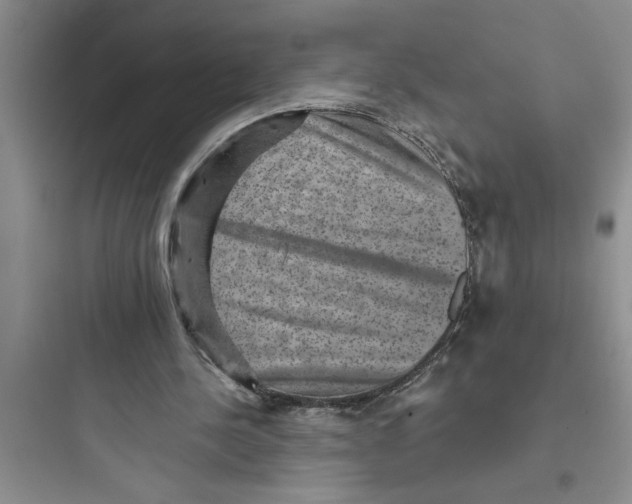 X0000097610244200803211729