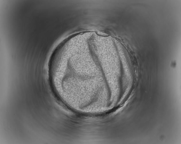 X0000097610246200803211729