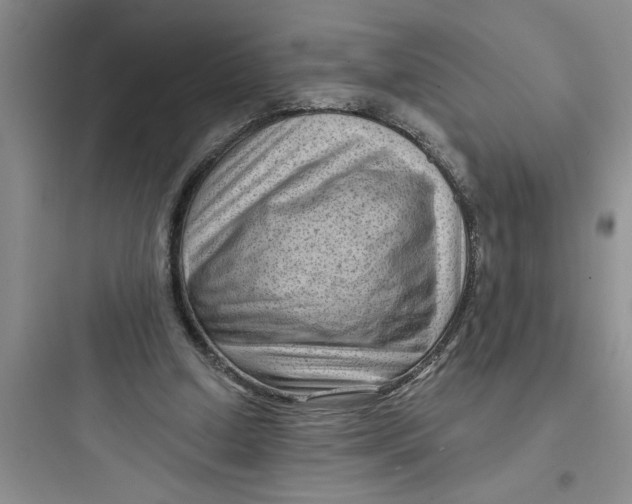 X0000097610250200803211729