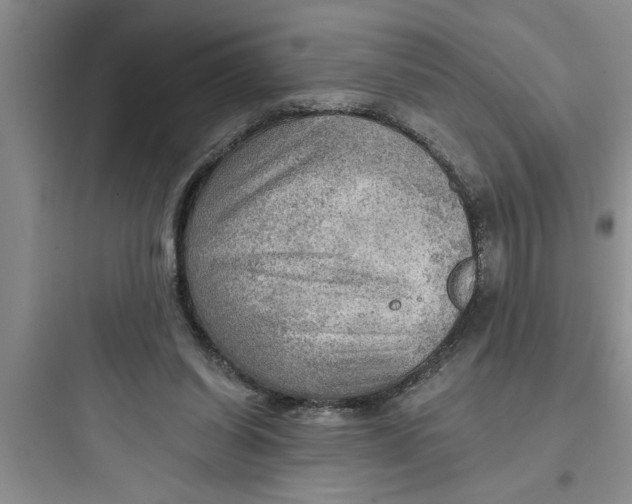 X0000097610254200803211729