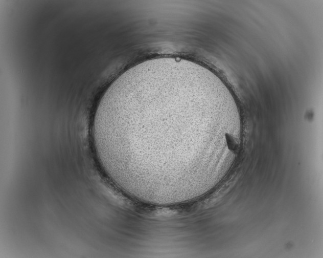 X0000097610257200803211729