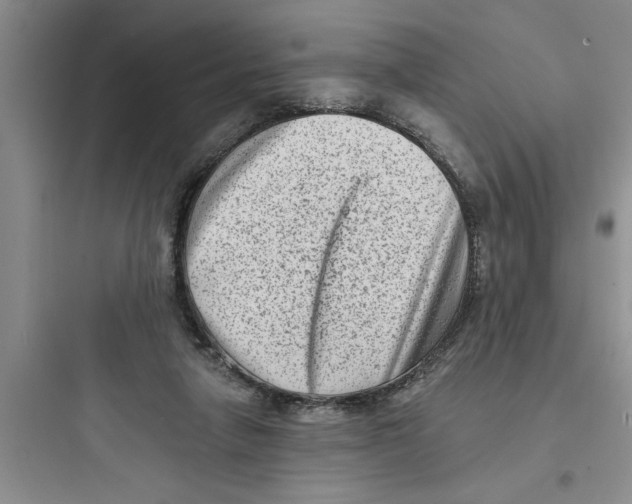 X0000097610258200803211729