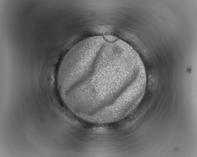 X0000097610259200803211729