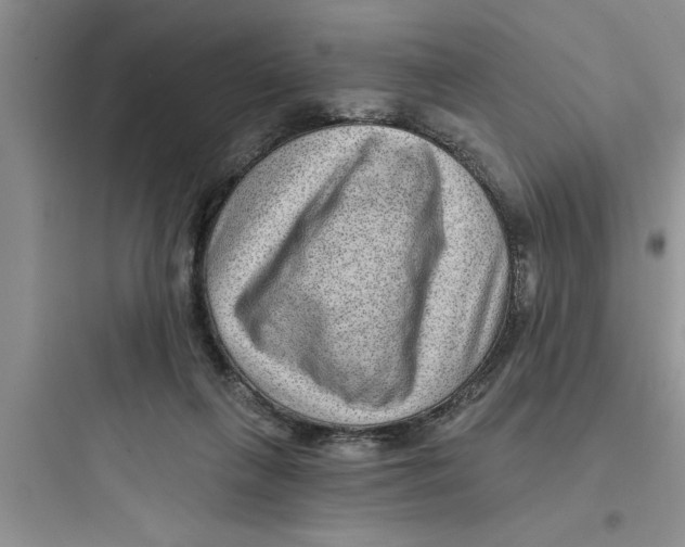 X0000097610263200803211729