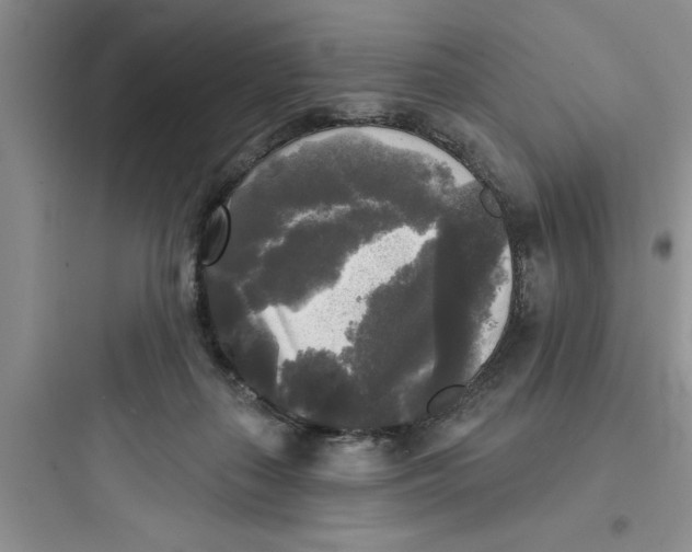 X0000097610267200803211729