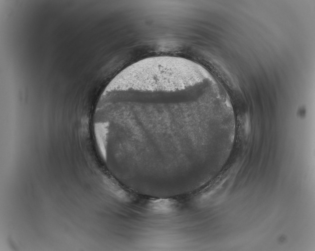 X0000097610269200803211729