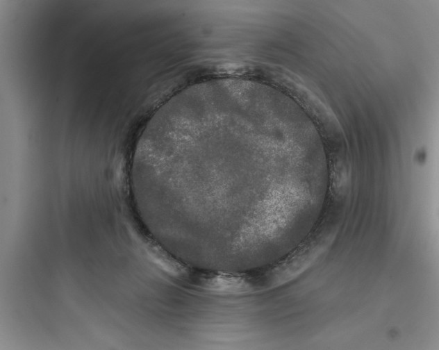 X0000097610270200803211729