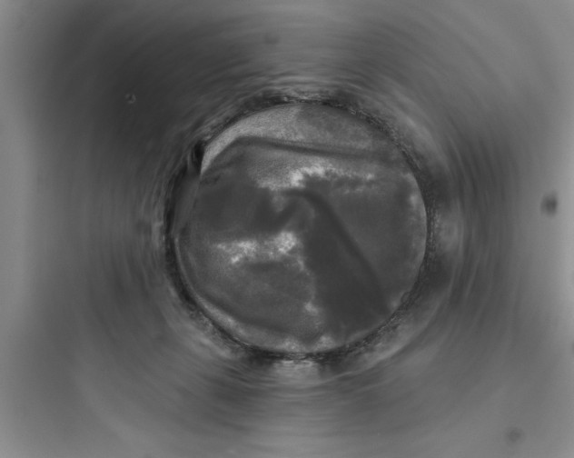 X0000097610271200803211729