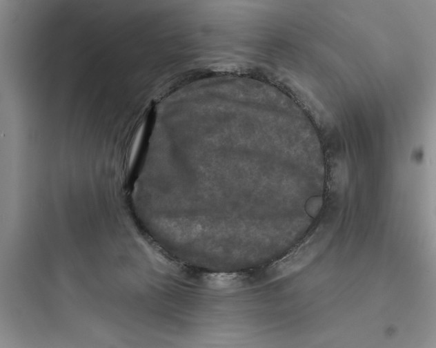 X0000097610273200803211729