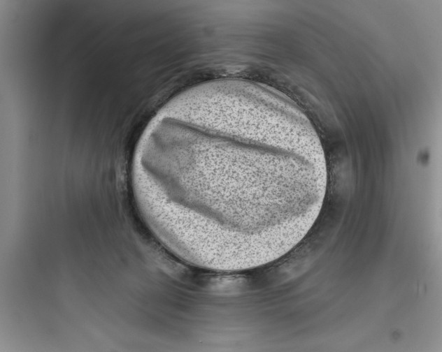 X0000097610274200803211729