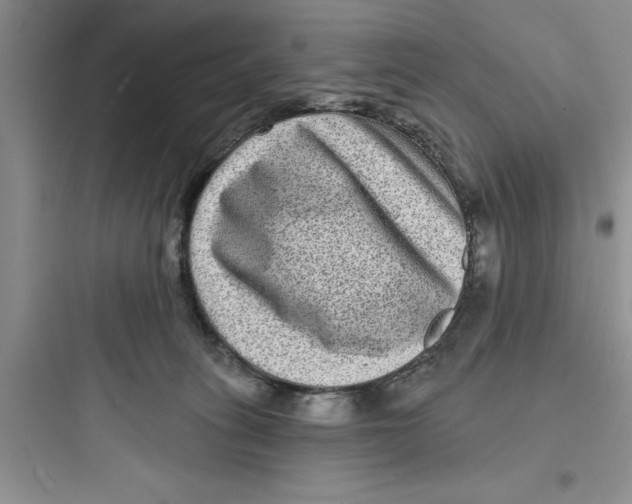 X0000097610275200803211729