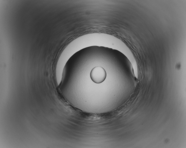 X0000097610276200803211729