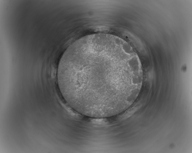 X0000097610281200803211729