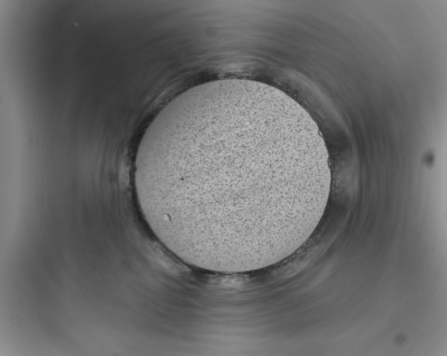 X0000097610282200803211729