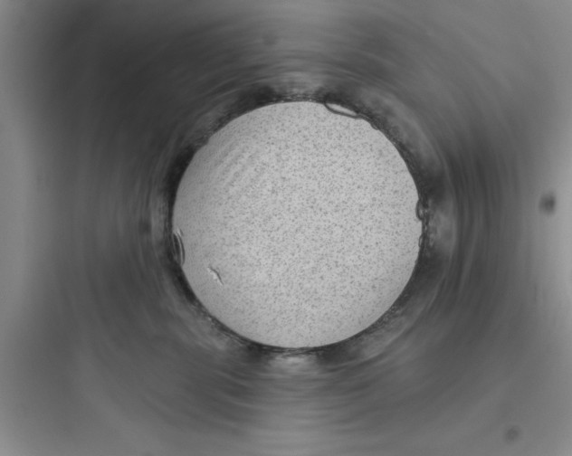 X0000097610283200803211729