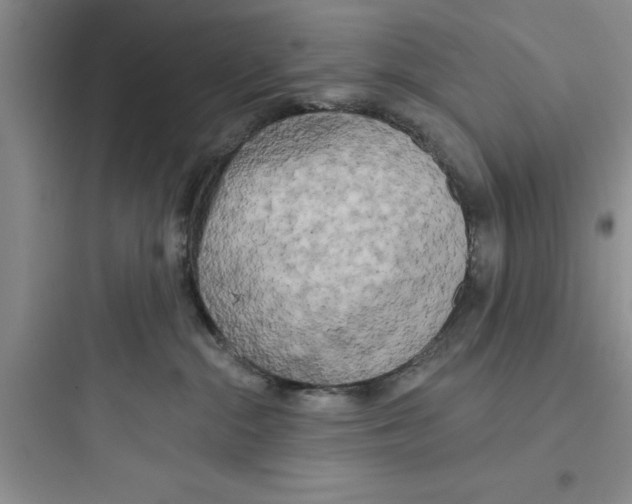 X0000097610284200803211729