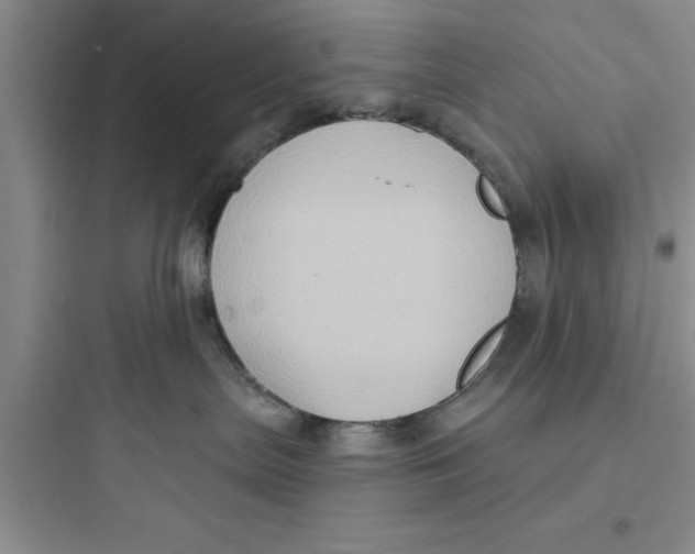 X0000097610287200803211729