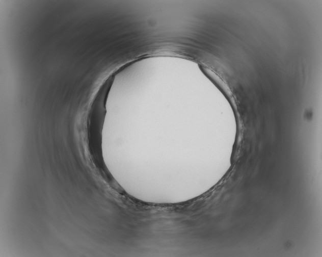 X0000097610289200803211729