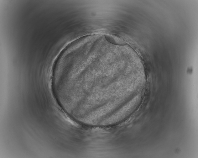 X0000097610290200803211729