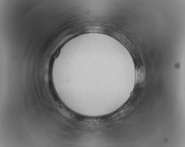 X0000097610291200803211729