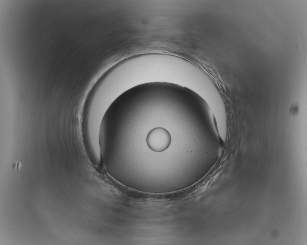 X0000097610292200803211729