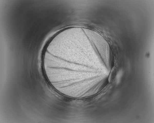 X0000097610294200803211729