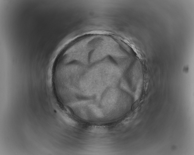 X0000097610296200803211729