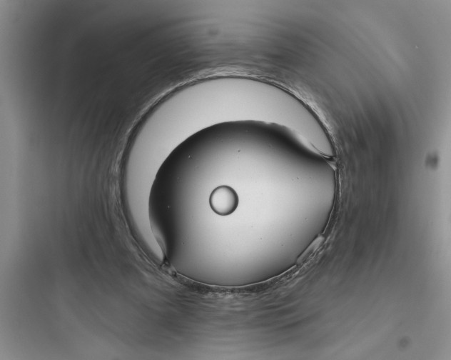 X0000097610297200803211729