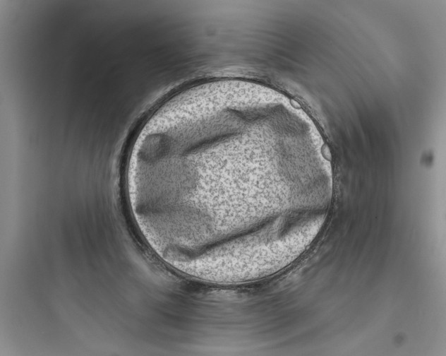 X0000097610298200803211729